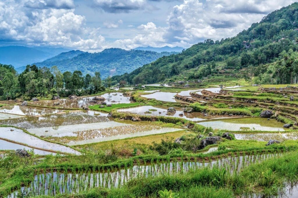 Destinasi Wisata Langit Terbaik di Toraja: Taman Bintang Rantepao